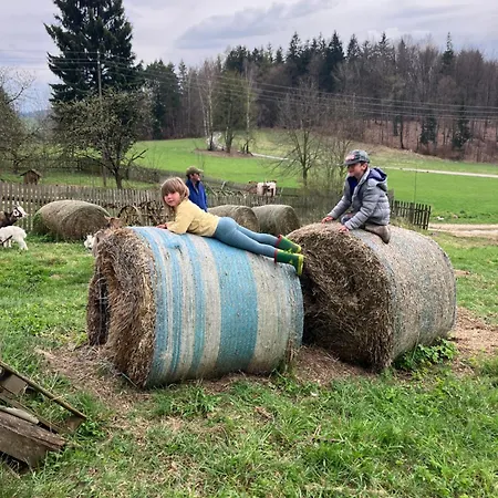 Klimatyczny Wiejski Dom W Gorach Sowich - Przygorze 201 * Woliborz