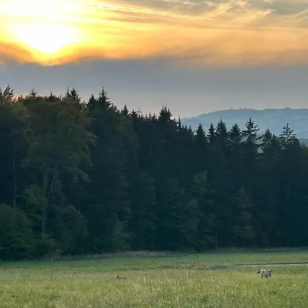 Klimatyczny Wiejski Dom W Gorach Sowich - Przygorze 201 Woliborz
