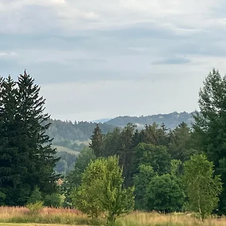 Klimatyczny Wiejski Dom W Gorach Sowich - Przygorze 201 Casa vacanze *