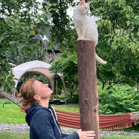 Klimatyczny Wiejski Dom W Gorach Sowich - Przygorze 201 * Woliborz