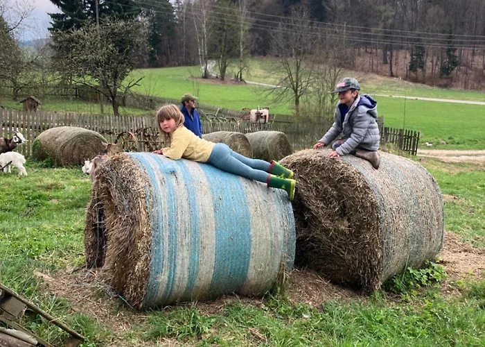 Klimatyczny Wiejski Dom W Górach Sowich - Przygórze 201 * Woliborz