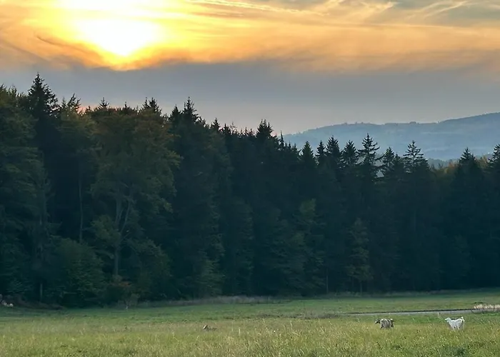 Klimatyczny Wiejski Dom W Gorach Sowich - Przygorze 201 Woliborz