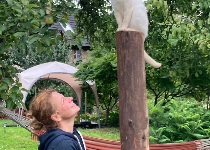 Klimatyczny Wiejski Dom W Gorach Sowich - Przygorze 201 * Woliborz